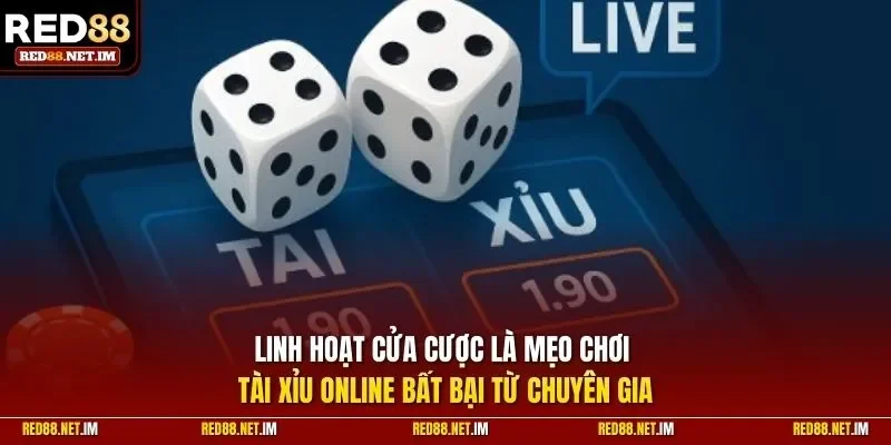 Linh hoạt cửa cược là mẹo chơi tài xỉu online từ chuyên gia